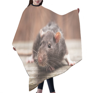 Personality  Pet Rat Hair Cutting Cape