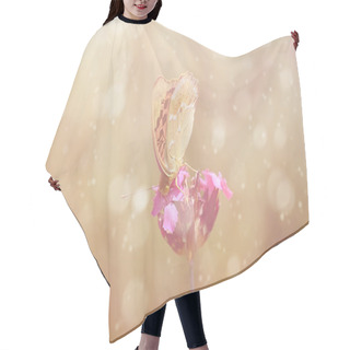 Personality  Dreamy Photo Of A Beautiful Butterfly Hair Cutting Cape