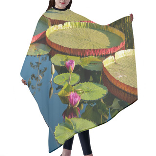 Personality  Water Lily And Water Platter Hair Cutting Cape