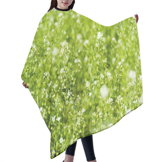 Personality  Wild White Flowers On Summer Lawn Hair Cutting Cape