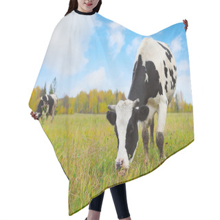 Personality  Herd Hair Cutting Cape