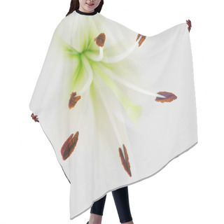 Personality  Lily Hair Cutting Cape