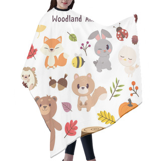 Personality  Set Of Woodland Animals, Simply Vector Illustration   Hair Cutting Cape