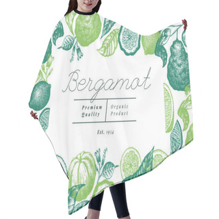 Personality  Bergamot Branch Design Template. Kaffir Lime Frame. Hand Drawn Vector Fruit Illustration. Engraved Style Vintage Citrus Background. Hair Cutting Cape