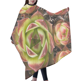 Personality  Garden Plant Hair Cutting Cape