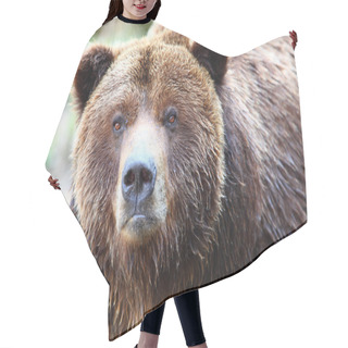 Personality  Brown Grizzly Bear Hair Cutting Cape