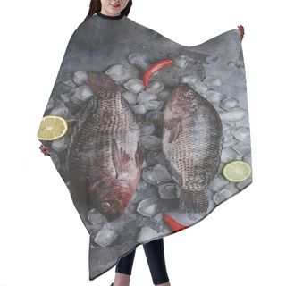Personality  Seafood Hair Cutting Cape