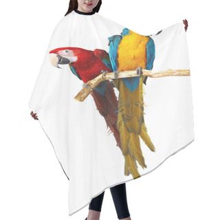 Personality  Two Parrots Hair Cutting Cape