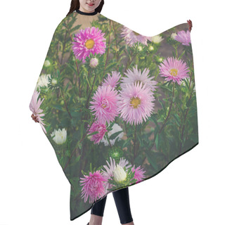Personality  Pink And Violet Aster Autumn Flowers Hair Cutting Cape