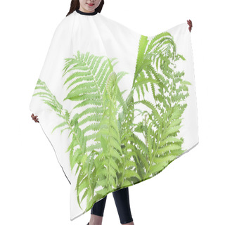 Personality  Wild Fern Bush Isolated Hair Cutting Cape
