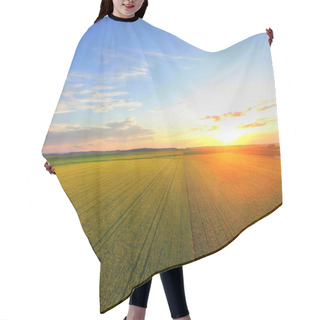 Personality  Sunset Over Canola Field Hair Cutting Cape