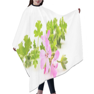 Personality  Citronella Twig On White Background Hair Cutting Cape