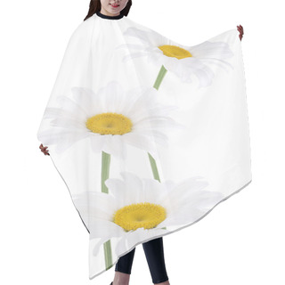 Personality  Daisy Hair Cutting Cape