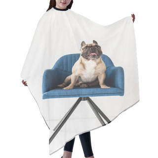 Personality  French Bulldog Sitting On Chair  Hair Cutting Cape