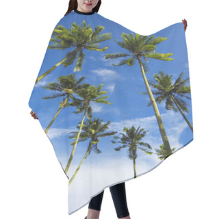 Personality  Palm Trees Hair Cutting Cape