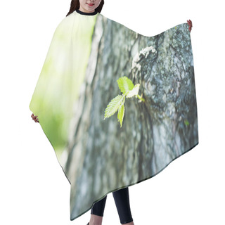 Personality  Young Green Leaves On Tree Trunk Hair Cutting Cape