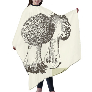 Personality  Set Of Linear Drawing Mushrooms, Vintage Vector Illustration. Morel Mushrooms Hair Cutting Cape