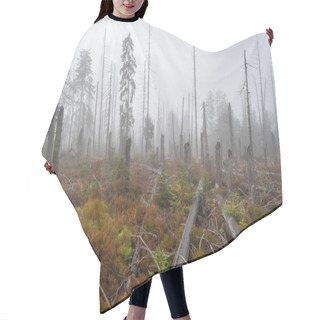 Personality  Dead Forest Hair Cutting Cape