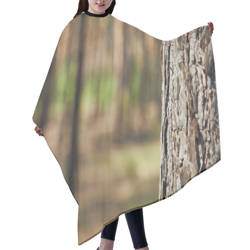 Personality  Close Up View Of Textured Tree In Forest With Copy Space Hair Cutting Cape