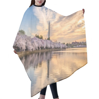Personality  Washington DC, USA In Spring Hair Cutting Cape