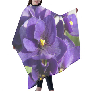 Personality  Beautiful Violet Close Up Hair Cutting Cape