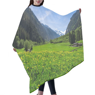 Personality  Austrian Landscape With Meadows And Mountains In The Springtime. Austria, Tirol, Zillertal, Stillup Valley. Hair Cutting Cape