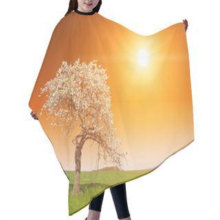 Personality  Sunset Over The Grove Hair Cutting Cape
