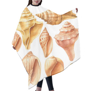 Personality  Watercolor Sea Shells On An Isolated White Background Hair Cutting Cape