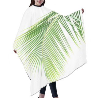 Personality  Coconut Leaves On White Background Hair Cutting Cape