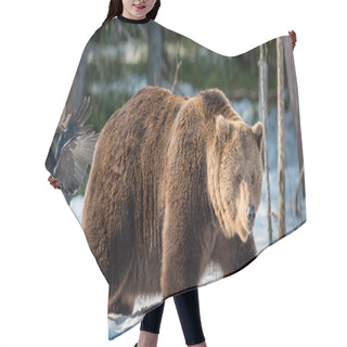Personality  Adult Male Brown Bear Hair Cutting Cape