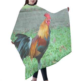 Personality  Handsome Rooster In A Garden Hair Cutting Cape