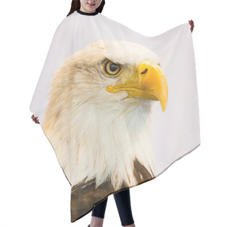 Personality  American Eagle Hair Cutting Cape