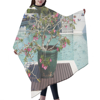 Personality  Bignonia Flower , Decoration For Pool Hair Cutting Cape