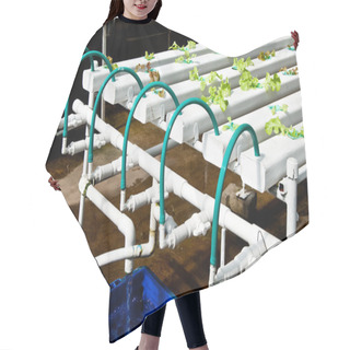 Personality  The Organic Hydroponic Vegetable Garden Hair Cutting Cape