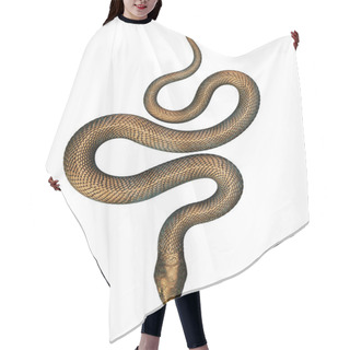 Personality  Bronze Snake Isolated On White Background. 3D Illustration Hair Cutting Cape
