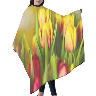 Personality  Yellow And Red Tulips For Women's Holiday On March 8 Hair Cutting Cape