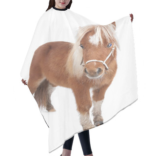 Personality  Little Pony Hair Cutting Cape