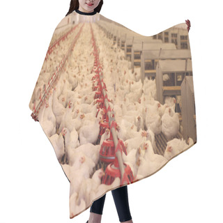 Personality  Chicken Farm Hair Cutting Cape