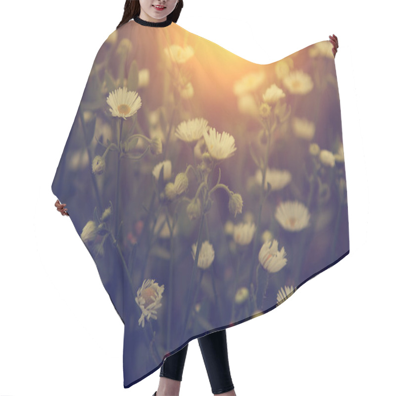 Personality  White Wild Flowers In Sunset Hair Cutting Cape
