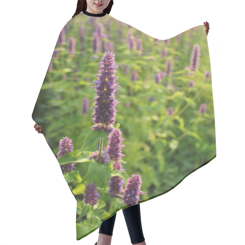 Personality  Blooming Flower (giant Hyssop )  Hair Cutting Cape