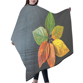 Personality  Colorful Leaves Close-up On A Black Wooden Background Hair Cutting Cape