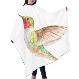 Personality  Hummingbird Flying, Watercolor Sketch, Vector Illustration. Hair Cutting Cape