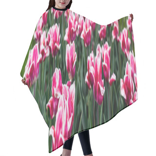 Personality  Beautiful Pink Colorful Tulips Growing In Field, Panoramic Shot Hair Cutting Cape