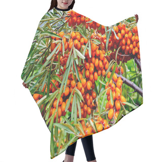 Personality  Buckthorn On A Branch Hair Cutting Cape