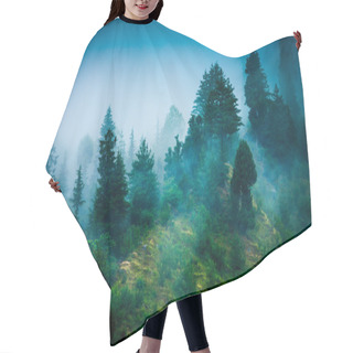 Personality  Fog In The Morning Forest Hair Cutting Cape