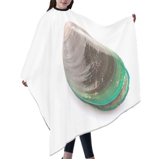 Personality  Saltwater Mussel Hair Cutting Cape