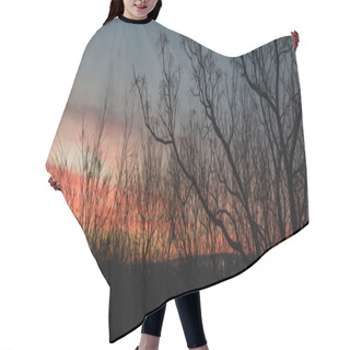 Personality  Panoramic View Silhouette Of Bare Tree Branches In Winter Time With Beautiful Sunrise Clouds Hair Cutting Cape