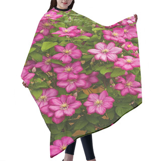 Personality  Texture Of Clematis Flowers Hair Cutting Cape