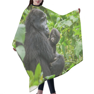 Personality  The Mountain Gorillas Close Up Hair Cutting Cape