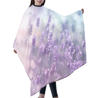 Personality  Selective And Soft Focus On Lavender Flower, Beautiful Lavender In Flower Garden Hair Cutting Cape
